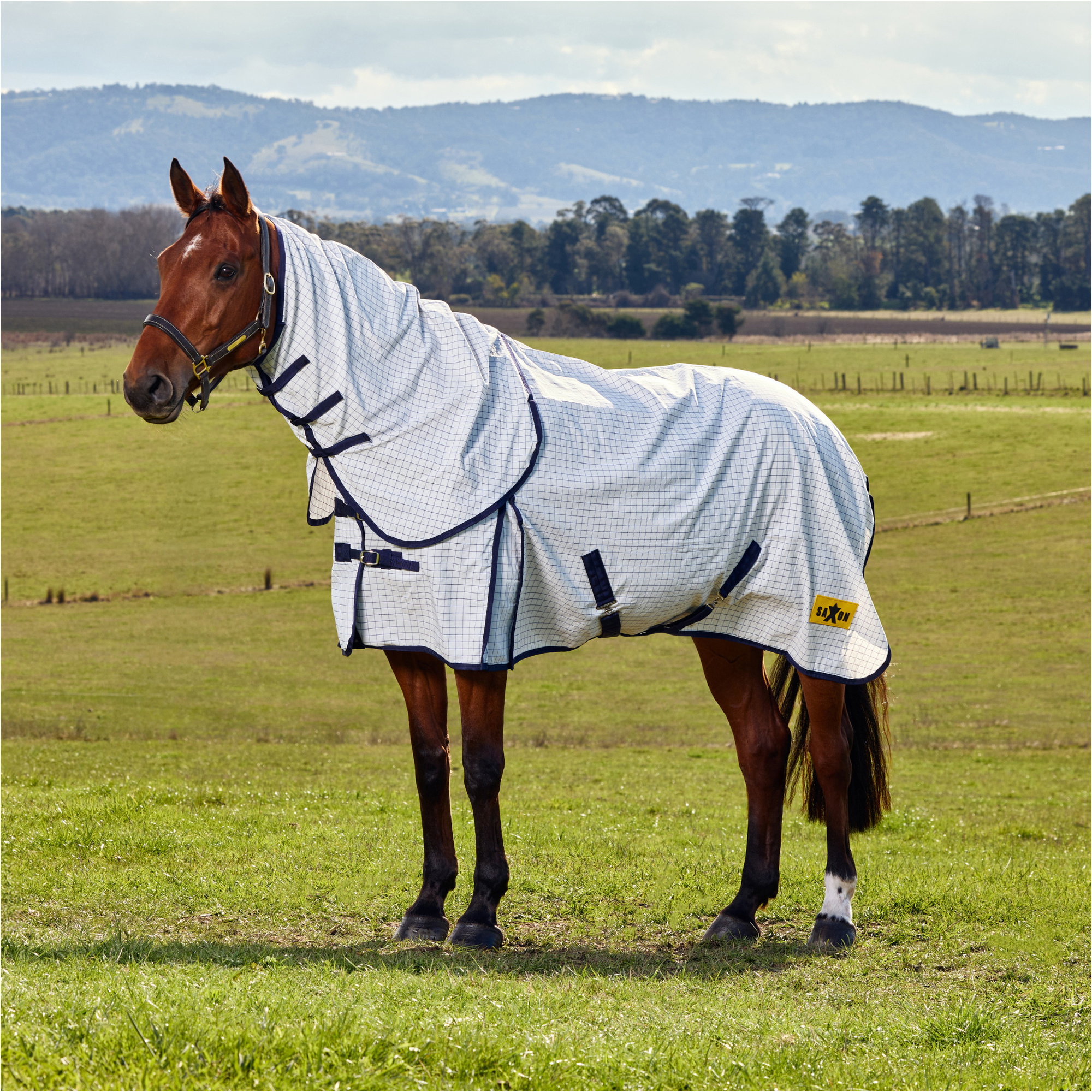 2026 Saxon Kool Coat Classic With Surcingles Combo Turnout Rug 1029980 - White / Navy